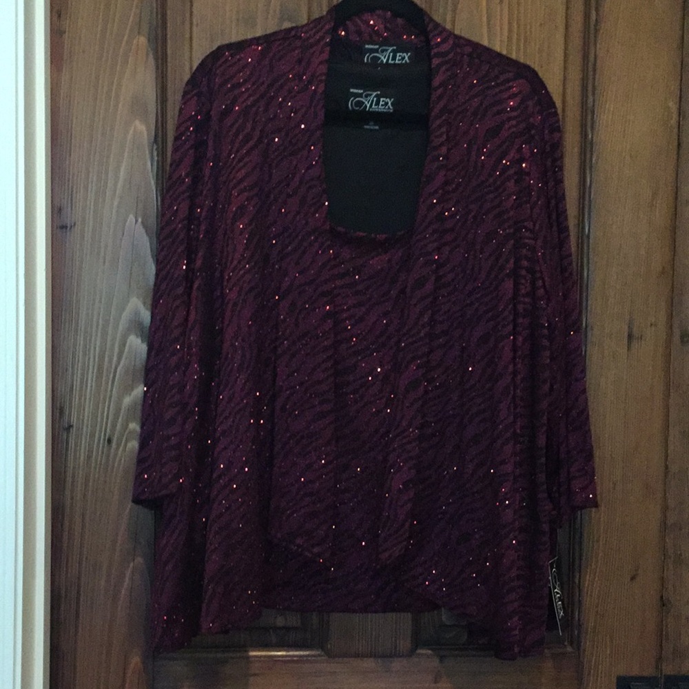 Alex Evenings two piece Size 2X top
